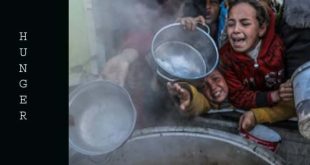 Gaza food crisis